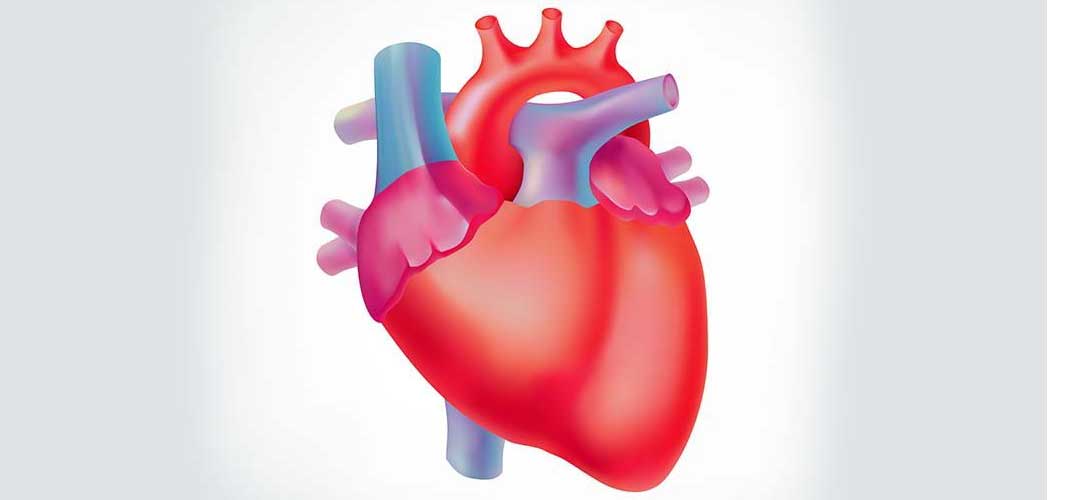 Cegah Penyakit Jantung Dengan Medical Check Up